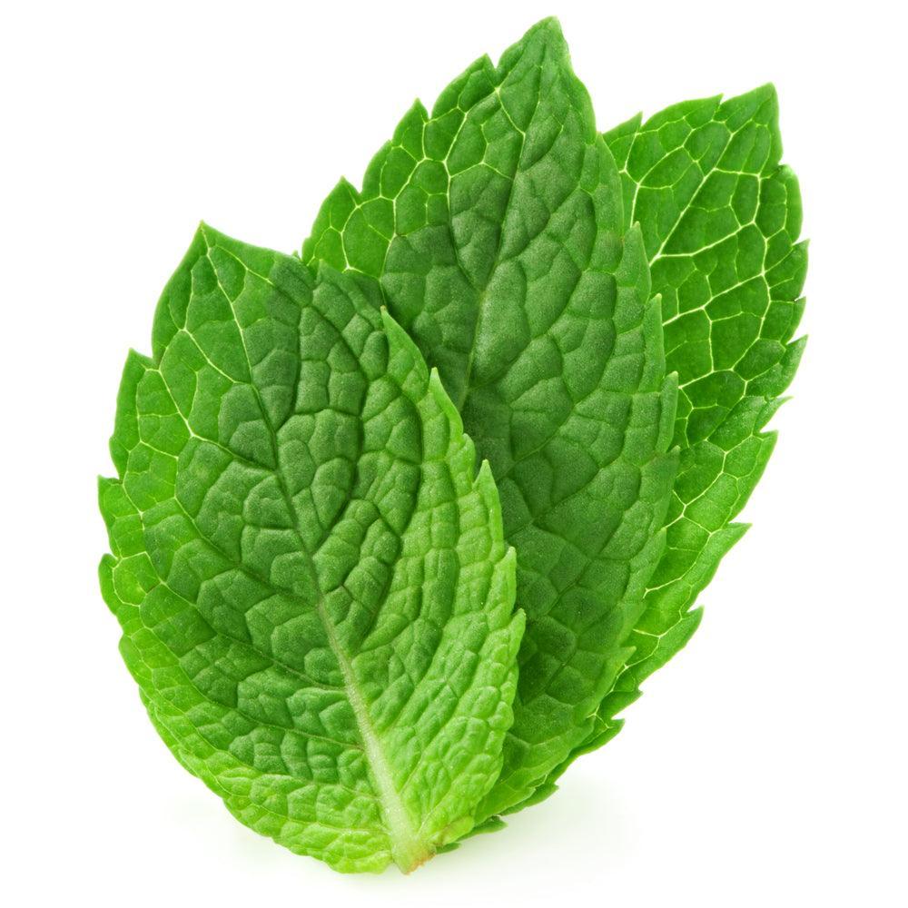 Pfefferminz (Mentha Piperita) Ätherisches Öl 10ml