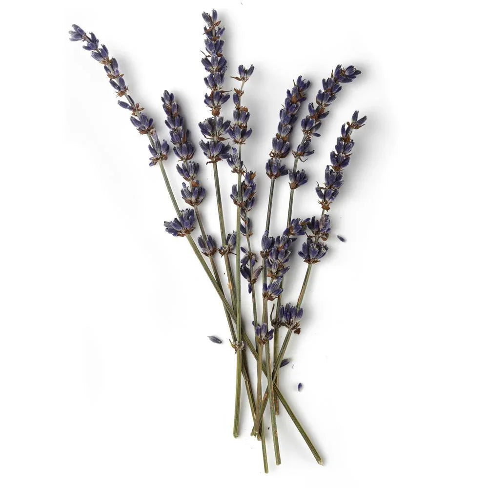 Französisches Lavendel Ätherisches Öl 10ml
