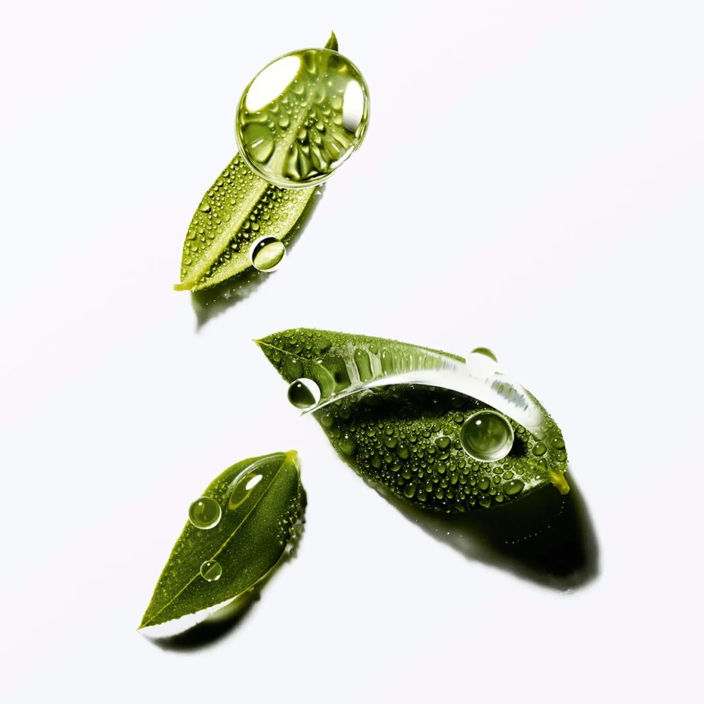 Balance Ätherische Öl-Mischung 10ml